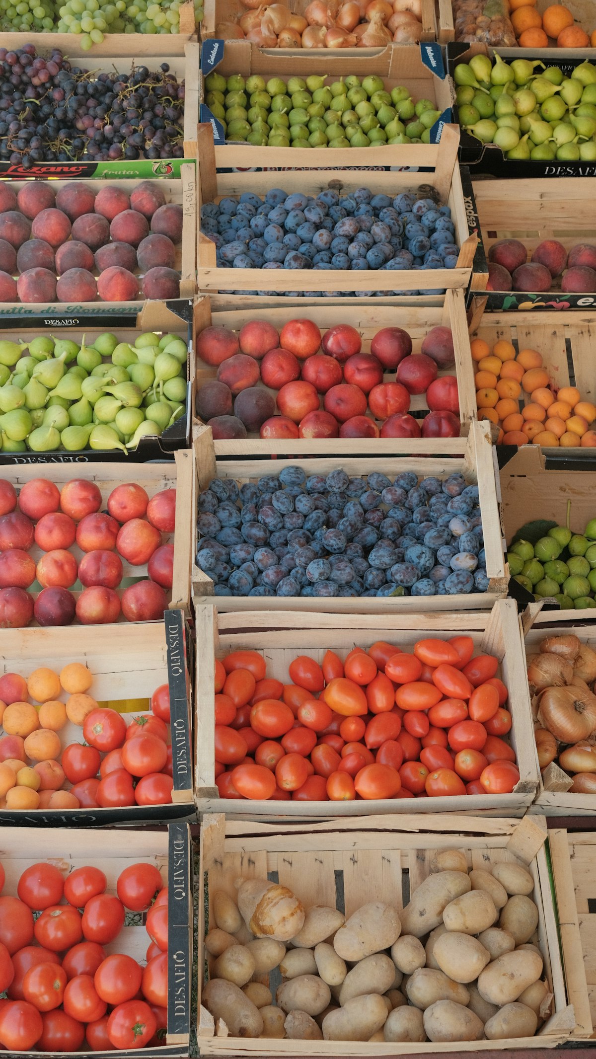 Komoditi perishable — buah segar di crate kayu